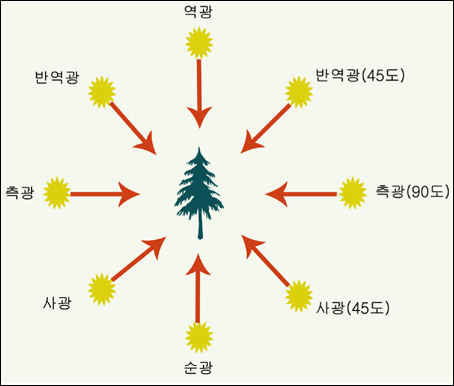 사진의 구도와 광선